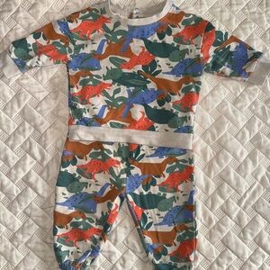 Kids Dinosaur Print Set